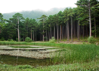 Украина, фото № 3966 – фотографии Украины