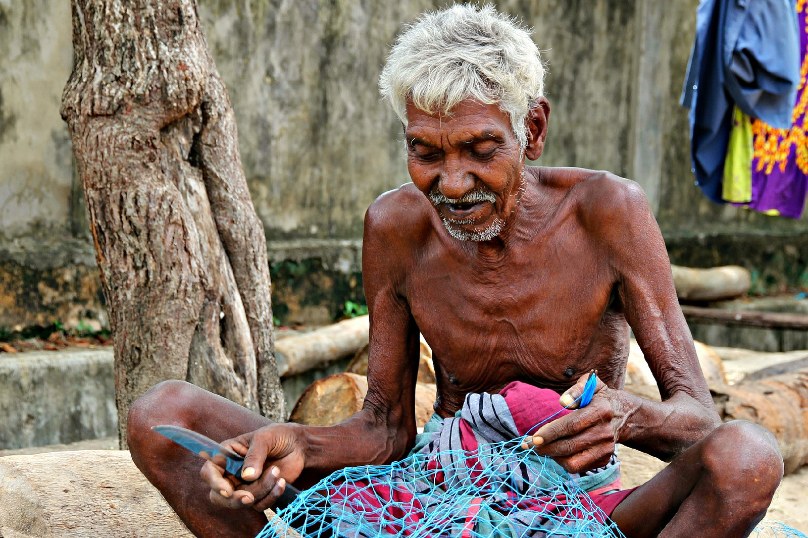 Джафна, Шри-Ланка. Фото 4 – фотографии Шри-Ланки