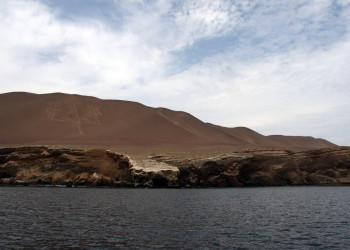 Национальный заповедник Паракас – фотографии Перу