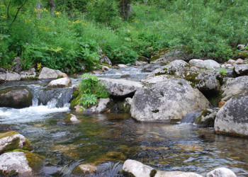 Природа Национального парка, Россия – фотографии России