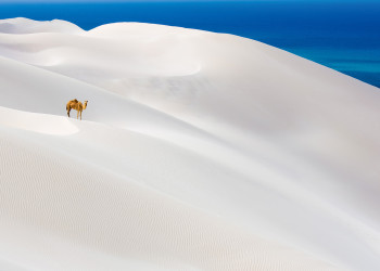 Песчаные дюны на острове Сокотра – фотографии Йемена