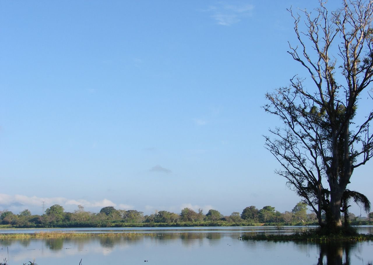 Хабарана, Шри-Ланка, фото № 52476 – фотографии Шри-Ланки