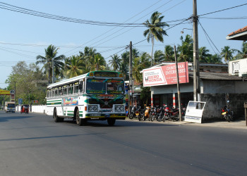 Бентота, Шри-Ланка, фото № 50610 – фотографии Шри-Ланки