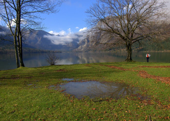 Бохинь Озеро, Словения, фото № 56949 – фотографии Словении