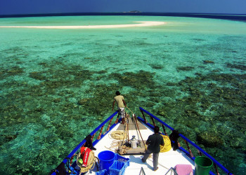 Южный Мале Атолл, Мальдивы – фотографии Мальдивских островов