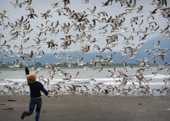 Пляж Ши-Ши и другие красоты национального парка Олимпик. Фото 2 – фотографии США