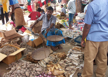 Дамбулла, Шри-Ланка, фото № 51073 – фотографии Шри-Ланки