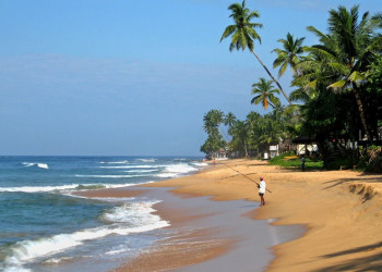 Хиккадува, Шри-Ланка, фото № 52519 – фотографии Шри-Ланки