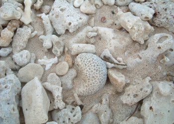 Сауф Си остров, Маманука группа островов, Фиджи, фото № 49084 – фотографии Фиджи