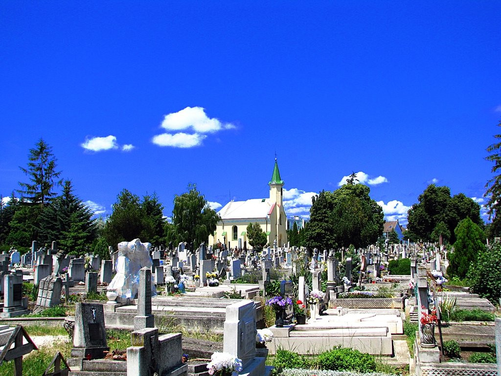 Тапольца, Венгрия, фото № 70724 – фотографии Венгрии