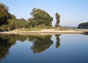 Национальный парк Донау-Ауэн – фотографии Австрии