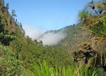 Сан-Андрес-и-Саусес, Ла-Пальма остров, Канарские острова, фото № 32109 – фотографии Канарских островов