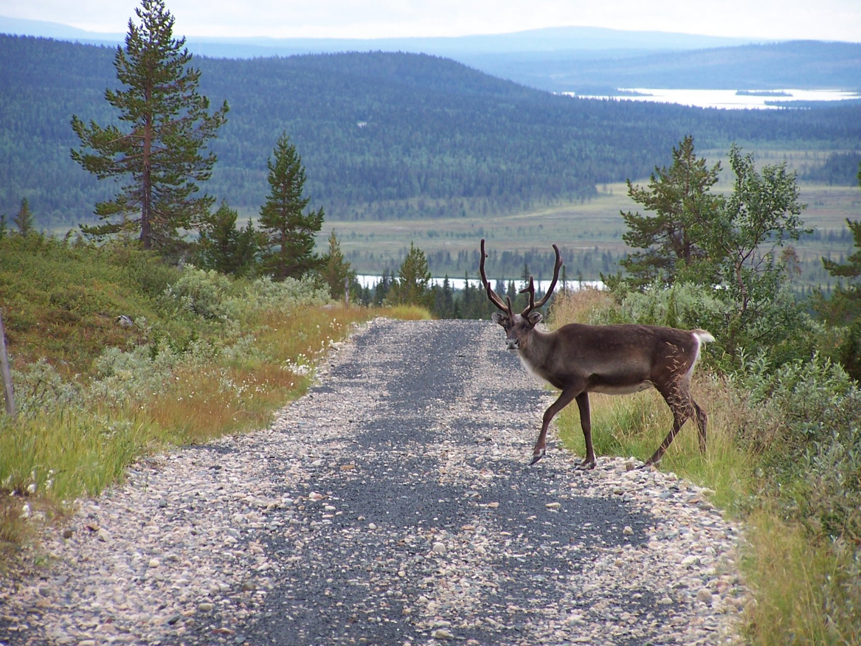 Финляндия, фото № 4572 – фотографии Финляндии