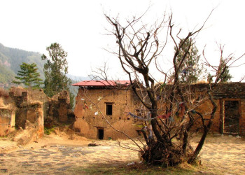 Друкгьял-дзонг (Drukgyal Dzong). Фото 102 – фотографии Бутана
