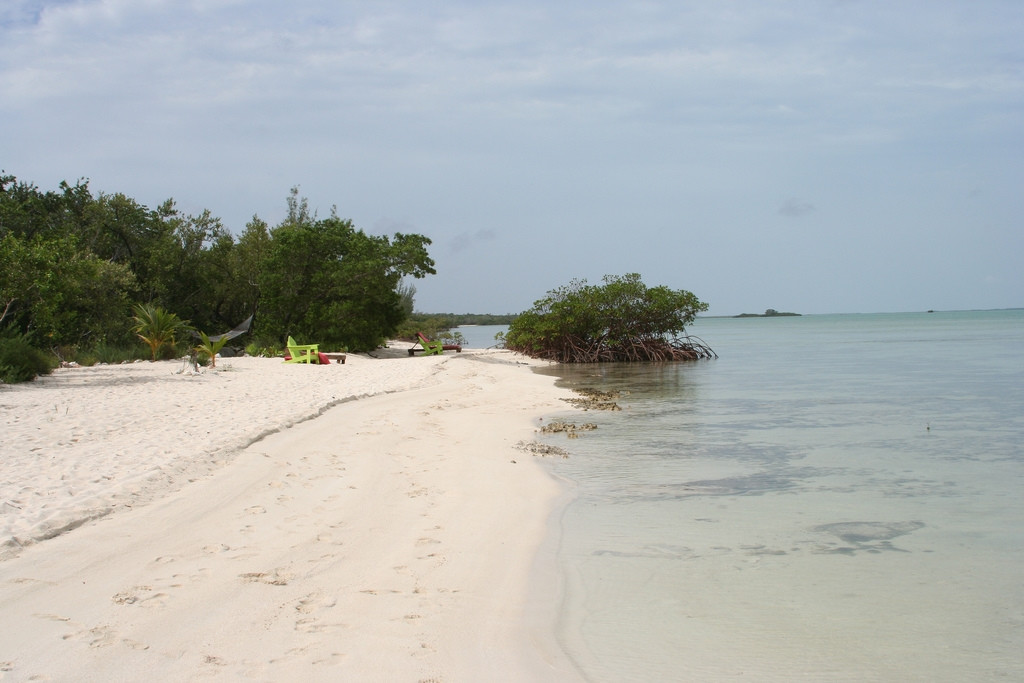 Пляж на острове Андрос, Багамские острова. Фото 4 – фотографии Багамских островов