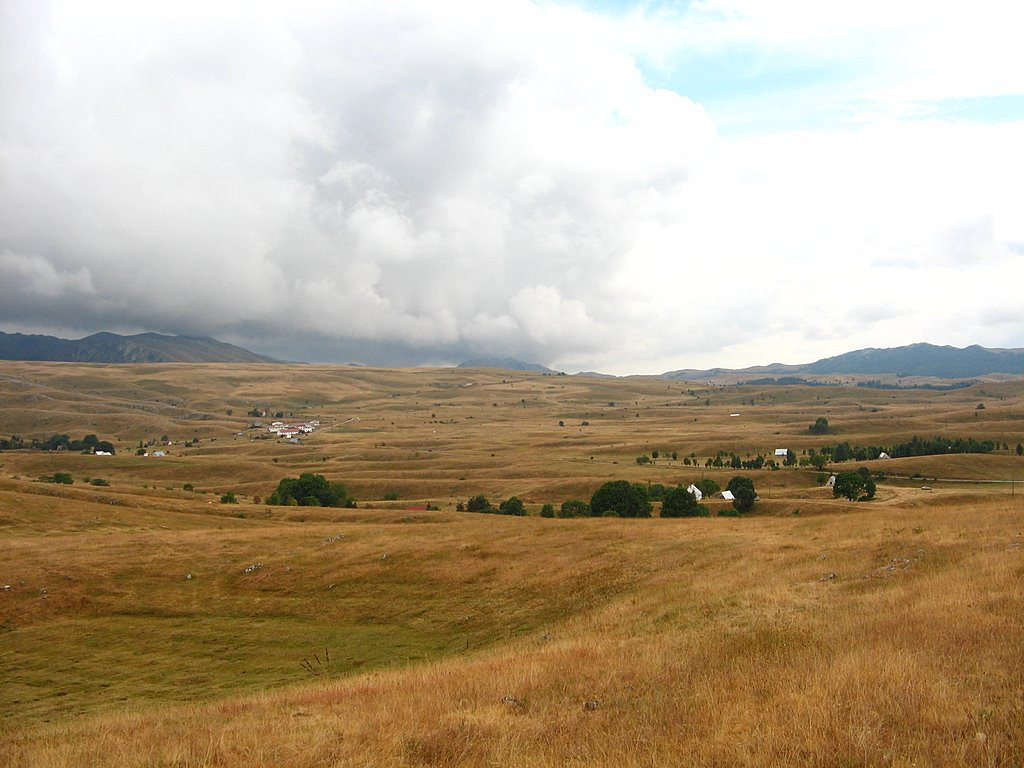 Поле в Черногория. Фото 2 – фотографии Черногории