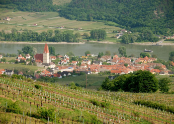 Виноградники в городке Вайсенкирхен-ин-дер-Вахау – фотографии Австрии