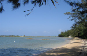 Пляж на острове Андрос, Багамские острова – фотографии Багамских островов