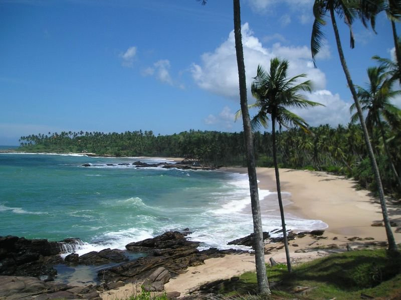 Тангалле, Шри-Ланка, фото № 52356 – фотографии Шри-Ланки