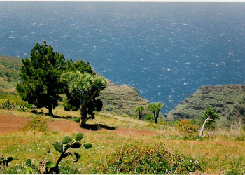 Гарафиа, Ла-Пальма остров, Канарские острова, фото № 31888 – фотографии Канарских островов