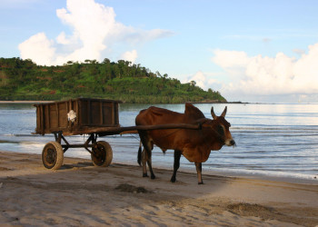 Мадагаскар, фото № 2137 – фотографии Мадагаскара