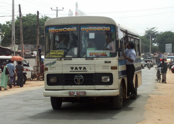 Дамбулла, Шри-Ланка, фото № 51077 – фотографии Шри-Ланки