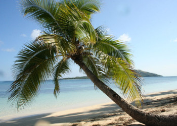 Накула остров, Ясава группа островов, Фиджи, фото № 50259 – фотографии Фиджи