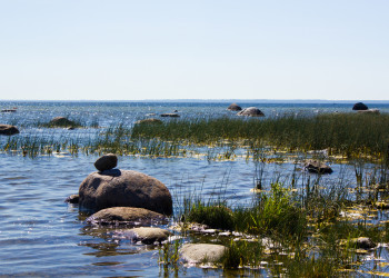 Остров Прангли в Эстонии – фотографии Эстонии