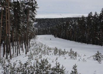 Сарыкамыш, Восточная Анатолия регион, Турция, фото № 46513 – фотографии Турции