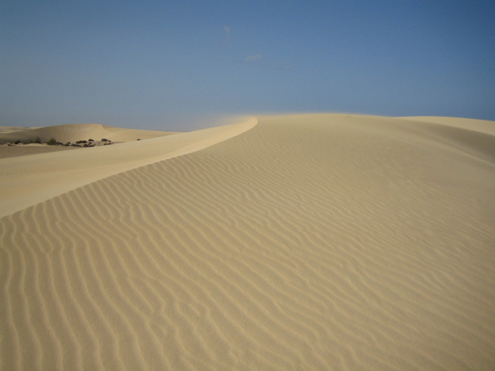 Корралехо, Фуэртевентура остров, Канарские острова, фото № 34118 – фотографии Канарских островов
