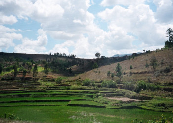 Мадагаскар, фото № 2142 – фотографии Мадагаскара