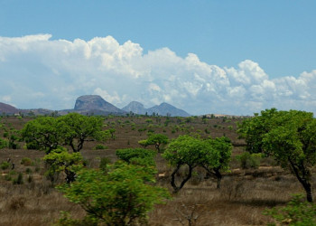 Мадагаскар, фото № 2202 – фотографии Мадагаскара