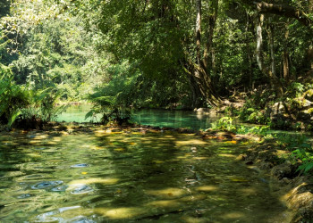 Природный памятник Семук Чампей (Semuc Champey) в Гватемале – фотографии Гватемалы