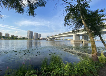 Вид с территории парка "Остров Мечты" на мост 2-го Южнопортового проезда, Москва – фотографии России