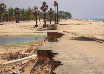 Шри-Ланка, фото № 1162 – фотографии Шри-Ланки