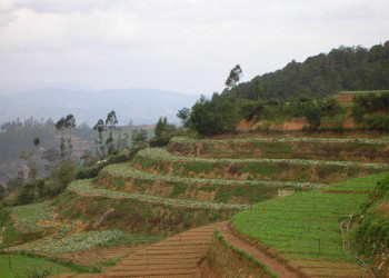 Нувара Элия, Шри-Ланка, фото № 52065 – фотографии Шри-Ланки