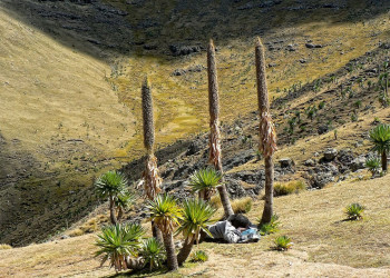 Нагорье – фотографии Эфиопии
