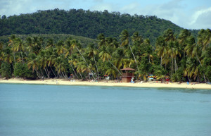 Пляж Лес-Салинес (Les Salines, Мартиника) – фотографии Мартиники