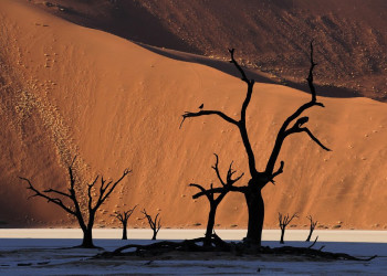 Соссусфлей, Намибия, фото № 80050 – фотографии Намибии