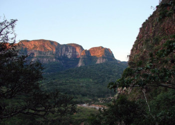 Национальный парк Амборо в Боливии – фотографии Боливии