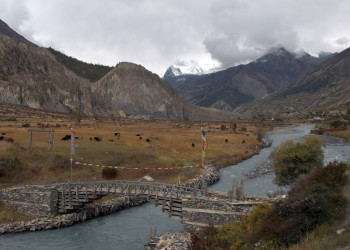 Аннапурна заповедник, Непал, фото № 78908 – фотографии Непала