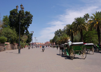 Марракеш, Марокко, фото № 7710 – фотографии Марокко