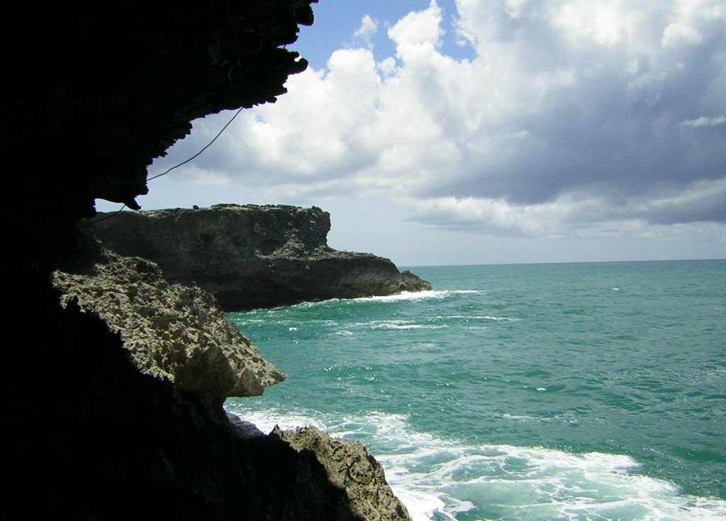 Animal Flower Cave, Barbados – фотографии Барбадоса