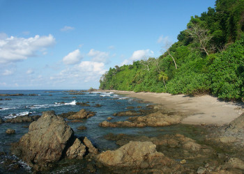 Корковадо Национальный Парк, Пунтаренас провинция, Коста-Рика, фото № 40544 – фотографии Коста-Рики