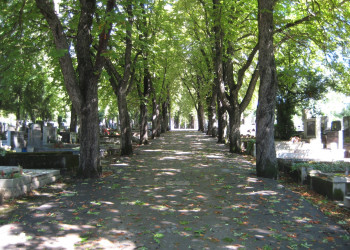 Кладбище Мирогой, Хорватия. Фото 2 – фотографии Хорватии