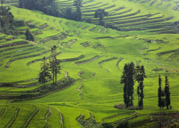 Рисовые террасы Хунхэ-Хани 3 – фотографии Китая