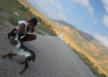 Сокотра (Socotra), Йемен. Фото 4 – фотографии Йемена