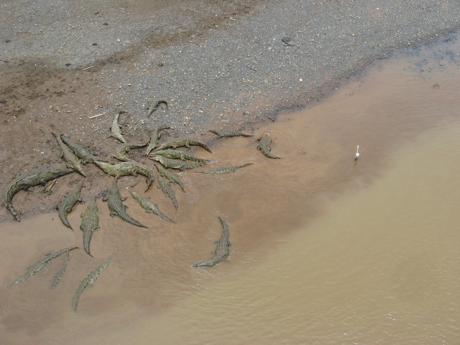 Коста-Рика, фото № 768 – фотографии Коста-Рики