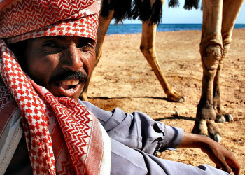 Таба, Египет, фото № 35461 – фотографии Египта