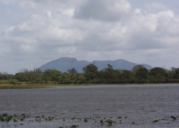 Хабарана, Шри-Ланка, фото № 52473 – фотографии Шри-Ланки